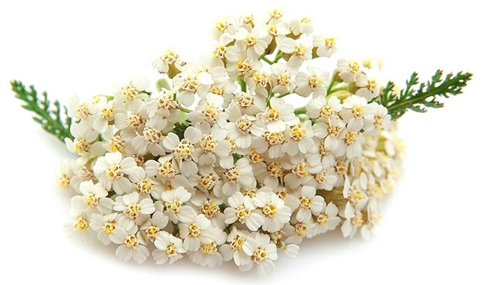 Gelarex contiene mil hojas.